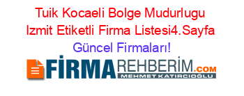 Tuik+Kocaeli+Bolge+Mudurlugu+Izmit+Etiketli+Firma+Listesi4.Sayfa Güncel+Firmaları!