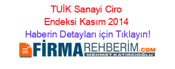 TUİK+Sanayi+Ciro+Endeksi+Kasım+2014 Haberin+Detayları+için+Tıklayın!