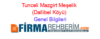 Tunceli+Mazgirt+Meşelik+(Dallibel+Köyü) Genel+Bilgileri