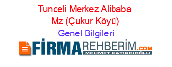 Tunceli+Merkez+Alibaba+Mz+(Çukur+Köyü) Genel+Bilgileri