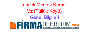 Tunceli+Merkez+Kemer+Mz+(Tüllük+Köyü) Genel+Bilgileri