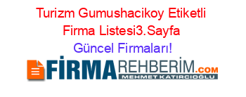 Turizm+Gumushacikoy+Etiketli+Firma+Listesi3.Sayfa Güncel+Firmaları!