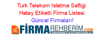 Turk+Telekom+Isletme+Sefligi+Hatay+Etiketli+Firma+Listesi Güncel+Firmaları!