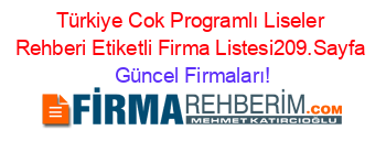 Türkiye+Cok+Programlı+Liseler+Rehberi+Etiketli+Firma+Listesi209.Sayfa Güncel+Firmaları!