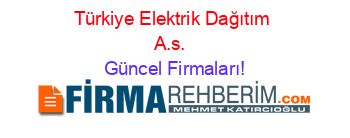 Türkiye+Elektrik+Dağıtım+A.s.+ Güncel+Firmaları!