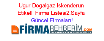 Ugur+Dogalgaz+Iskenderun+Etiketli+Firma+Listesi2.Sayfa Güncel+Firmaları!