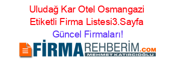 Uludağ+Kar+Otel+Osmangazi+Etiketli+Firma+Listesi3.Sayfa Güncel+Firmaları!