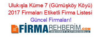 Ulukışla+Küme+7+(Gümüşköy+Köyü)+2017+Firmaları+Etiketli+Firma+Listesi Güncel+Firmaları!