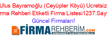 Ulus+Bayramoğlu+(Ceyüpler+Köyü)+Ucretsiz+Firma+Rehberi+Etiketli+Firma+Listesi1237.Sayfa Güncel+Firmaları!
