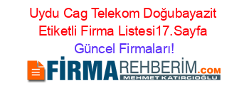 Uydu+Cag+Telekom+Doğubayazit+Etiketli+Firma+Listesi17.Sayfa Güncel+Firmaları!