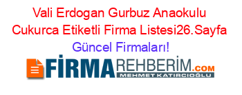 Vali+Erdogan+Gurbuz+Anaokulu+Cukurca+Etiketli+Firma+Listesi26.Sayfa Güncel+Firmaları!