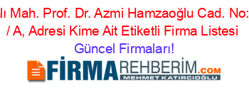 Yalı+Mah.+Prof.+Dr.+Azmi+Hamzaoğlu+Cad.+No:+2+/+A,+Adresi+Kime+Ait+Etiketli+Firma+Listesi Güncel+Firmaları!