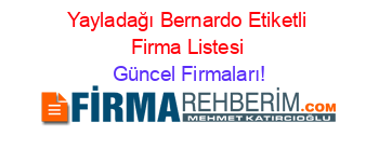 Yayladağı+Bernardo+Etiketli+Firma+Listesi Güncel+Firmaları!