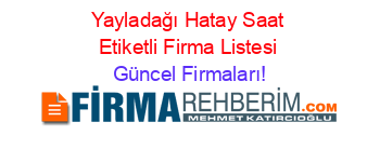 Yayladağı+Hatay+Saat+Etiketli+Firma+Listesi Güncel+Firmaları!