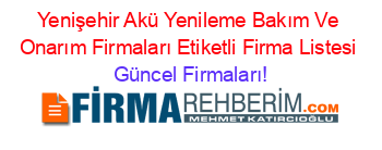 Yenişehir+Akü+Yenileme+Bakım+Ve+Onarım+Firmaları+Etiketli+Firma+Listesi Güncel+Firmaları!