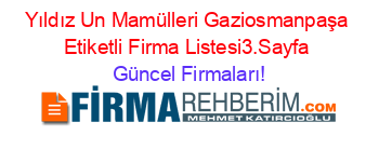 Yıldız+Un+Mamülleri+Gaziosmanpaşa+Etiketli+Firma+Listesi3.Sayfa Güncel+Firmaları!