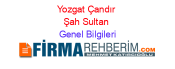 Yozgat+Çandır+Şah+Sultan Genel+Bilgileri