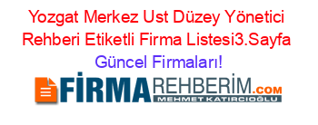 Yozgat+Merkez+Ust+Düzey+Yönetici+Rehberi+Etiketli+Firma+Listesi3.Sayfa Güncel+Firmaları!