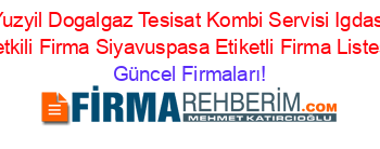 Yuzyil+Dogalgaz+Tesisat+Kombi+Servisi+Igdas+Yetkili+Firma+Siyavuspasa+Etiketli+Firma+Listesi Güncel+Firmaları!