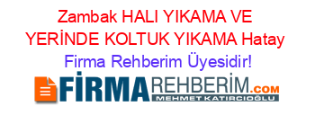 Zambak+HALI+YIKAMA+VE+YERİNDE+KOLTUK+YIKAMA+Hatay Firma+Rehberim+Üyesidir!