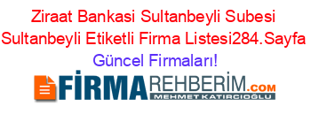 Ziraat+Bankasi+Sultanbeyli+Subesi+Sultanbeyli+Etiketli+Firma+Listesi284.Sayfa Güncel+Firmaları!