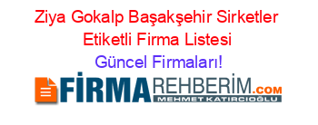 Ziya+Gokalp+Başakşehir+Sirketler+Etiketli+Firma+Listesi Güncel+Firmaları!