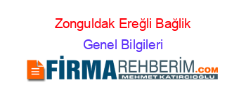 Zonguldak+Ereğli+Bağlik Genel+Bilgileri